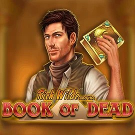 Enjoy Book of Dead by Play'n GO – logo hosted on stakecasinoo.org