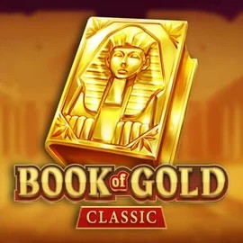 Book of Gold Classic slot icon by Playson, available at Stake Casino