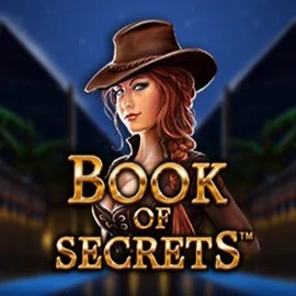 Book of Secrets slot icon by SYNOT Games, available at Stake Casino