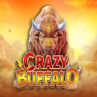 Crazy Buffalo Logo