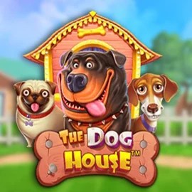 Try The Dog House slot by Pragmatic Play on stakecasinoo.org – logo image