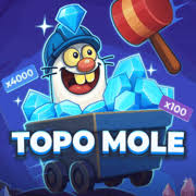 Topo Mole Game by InOut, showcased at stakecasinoo.org – game logo